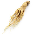 Ginseng